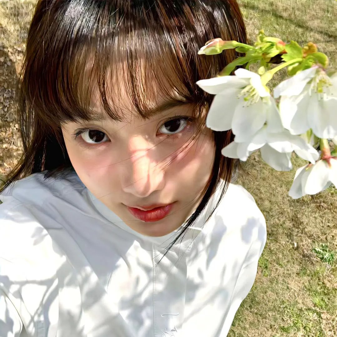 春风吹拂