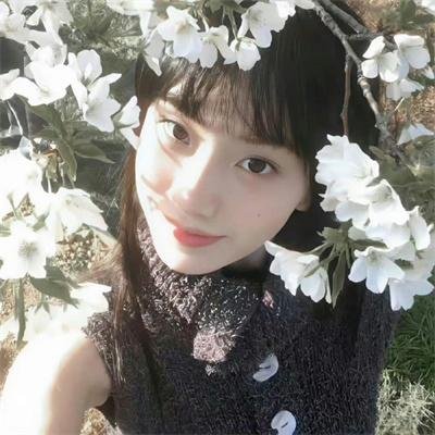 风雨雕花楼