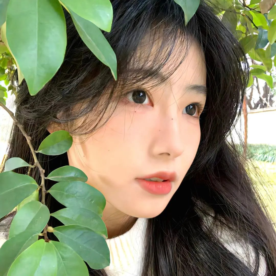 我的好朋友是只豹
